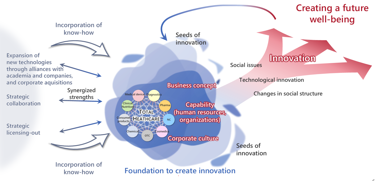 Otsuka group's business strategy
